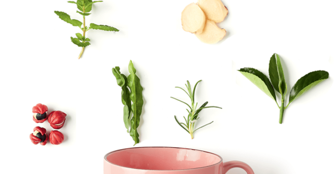 Chá de Hibisco: Adeus Retenção de Líquidos! - inspiração 2