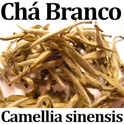 Tomilho: Para a Respiração e o Conforto - inspiração 2