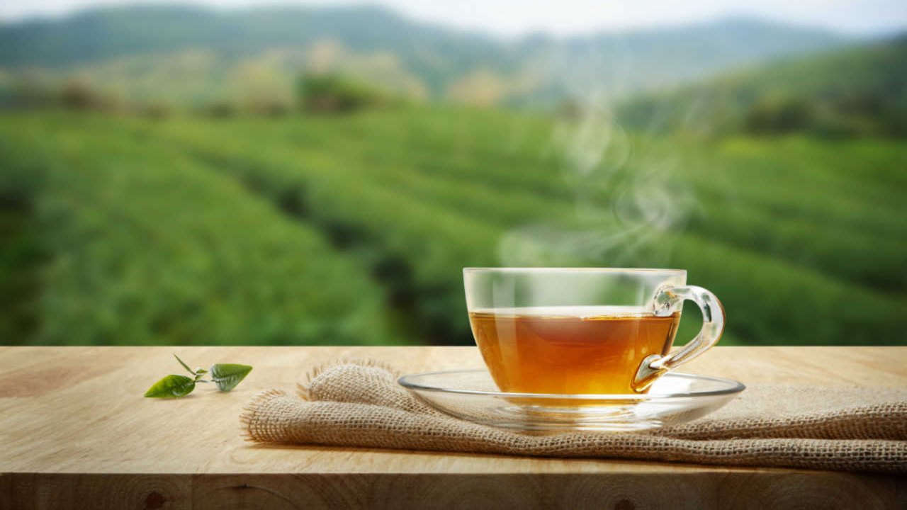 Chá de Canela: Regula o Açúcar e Reduz a Vontade de Doce - inspiração 1