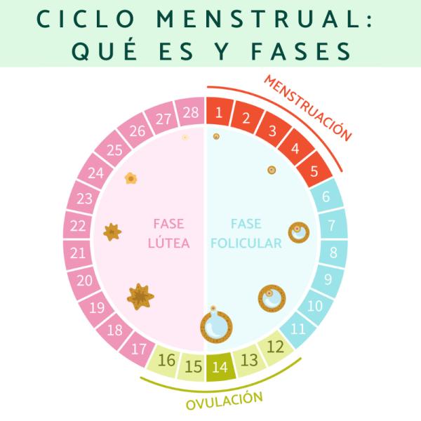 Fase Folicular: O Despertar e o Fortalecimento - inspiração 2