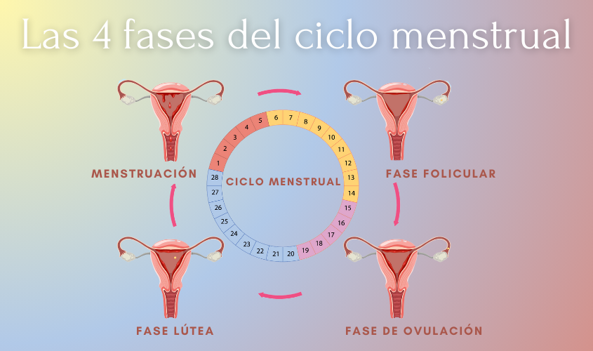 Fome e Desejos: Alimentação Consciente Durante o Ciclo - inspiração 2