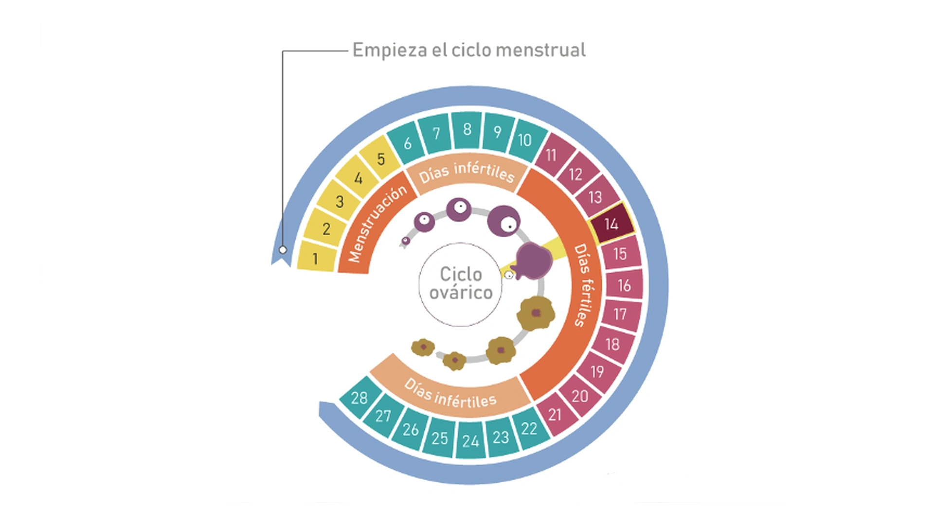 A Pele em Transformação: Cuidados Específicos por Fase - inspiração 1