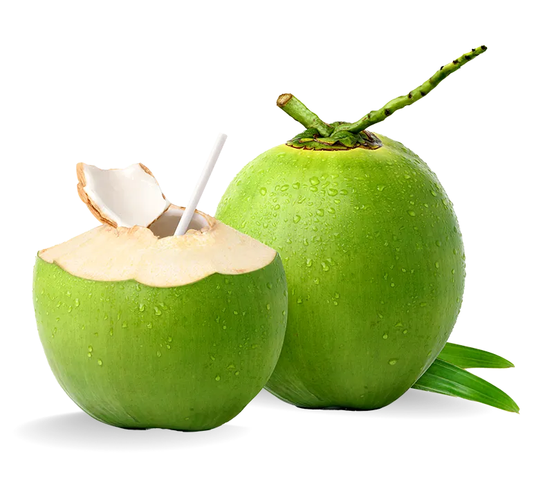 Eletrólitos Essenciais: Reposição Pós-Exercício ou Calor - inspiração 2