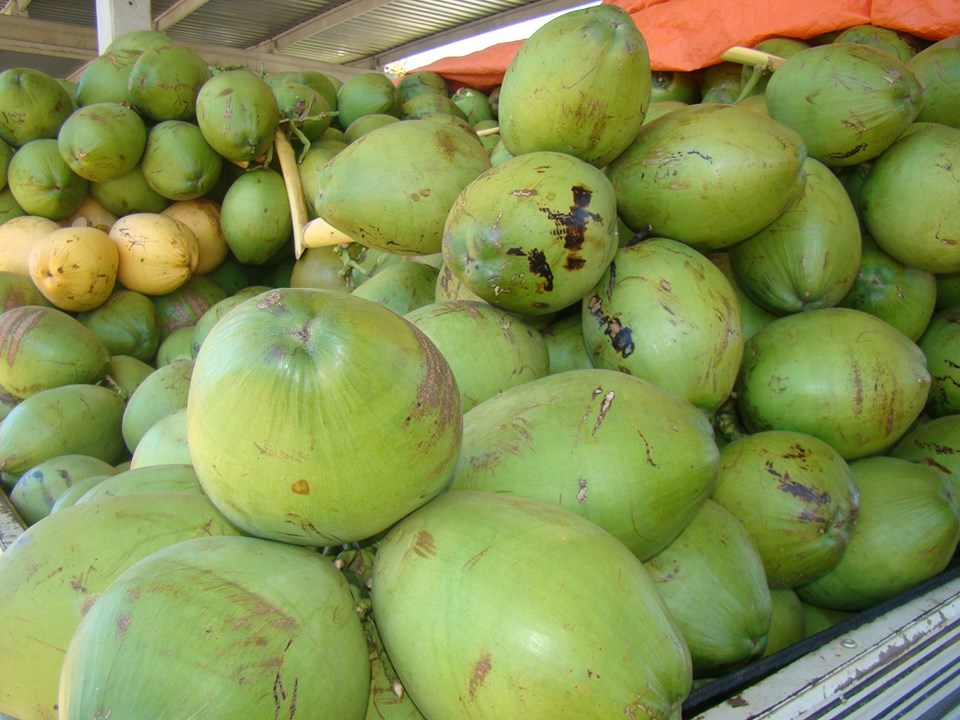 Pele Radiante: O Segredo Vem De Dentro - inspiração 1