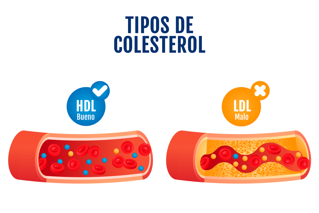 Sintomas Que Não Aparecem: Por Que o Check-up é Essencial - inspiração 1