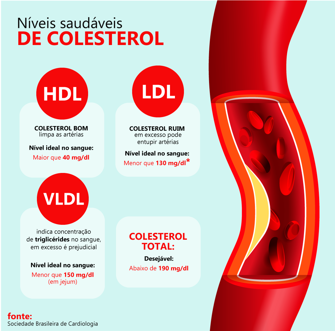 Exercícios Que Fazem a Diferença no Seu Perfil Lipídico - inspiração 1