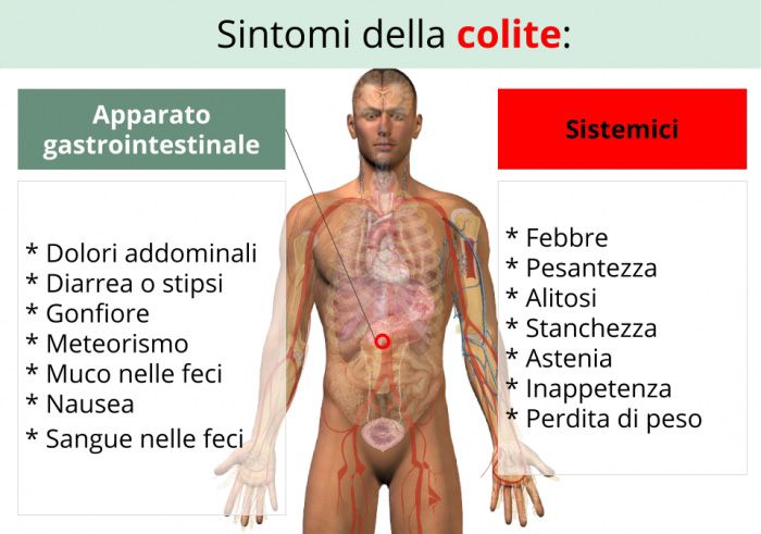 A Importância do Acompanhamento Médico Regular - inspiração 2