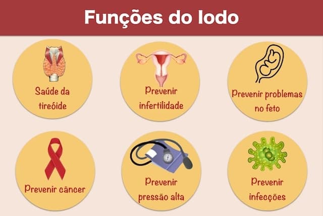 Zinco: Um Parceiro Essencial na Regulação do Iodo - inspiração 1