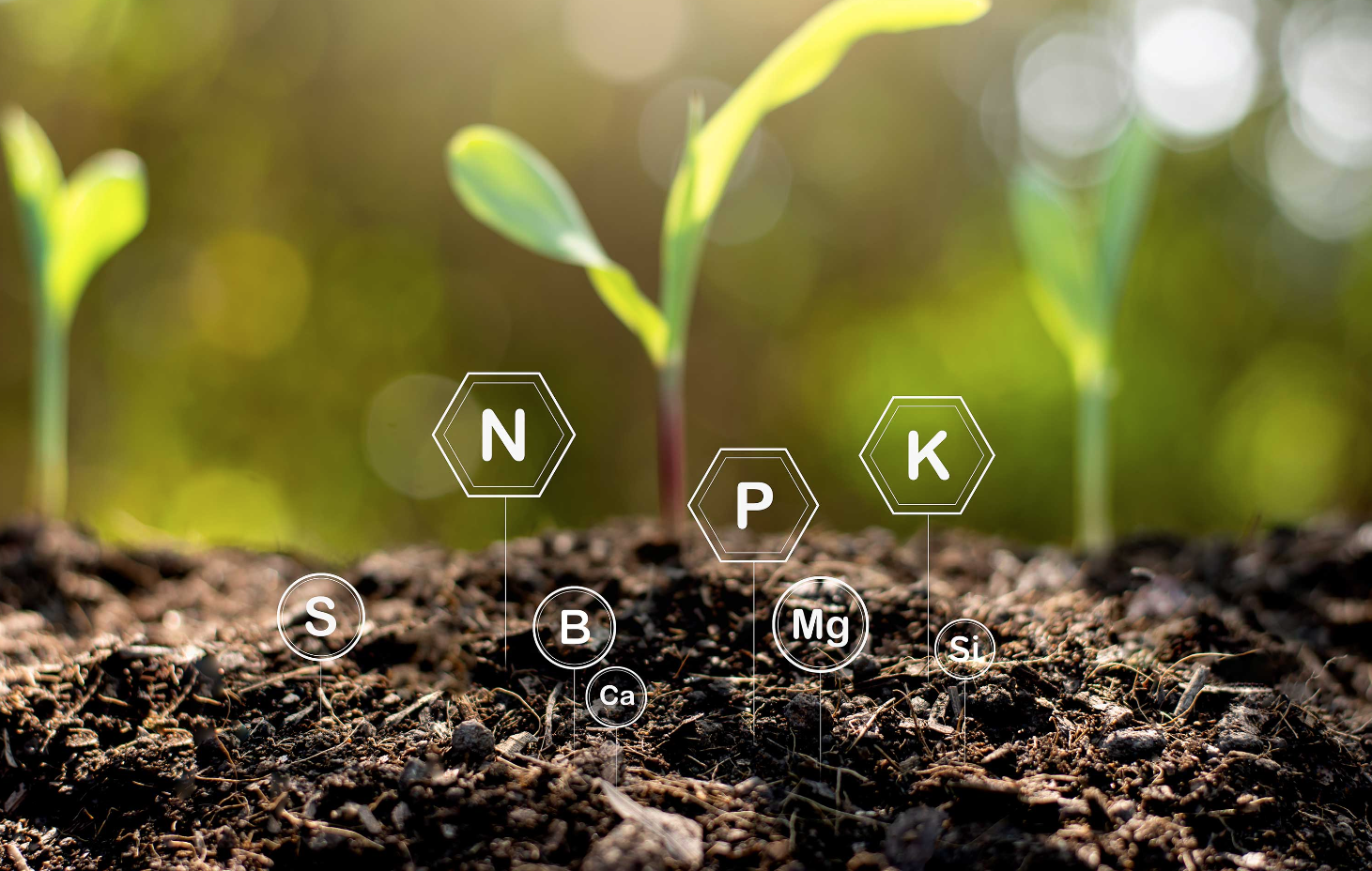 Atenção aos Medicamentos - inspiração 1