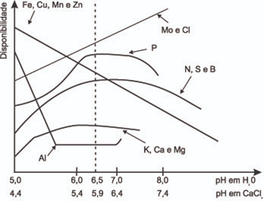 Atenção aos Medicamentos - inspiração 2