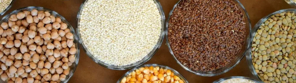 Nem Tudo que Reluz é Niacina: Tipos de Vitamina B3 e Como o Corpo os Usa - inspiração 2