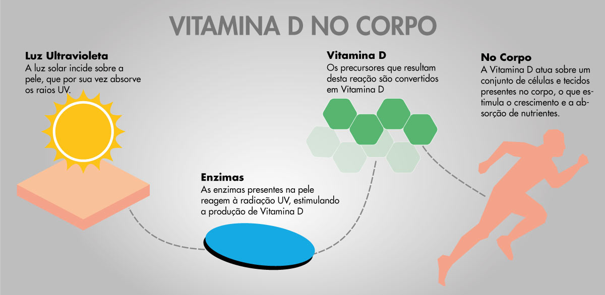 Alimentação Estratégica: Os Cardápios Ricos em Vitamina D - inspiração 1