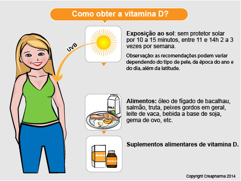O Papel da Gordura na Absorção da Vitamina D - inspiração 2