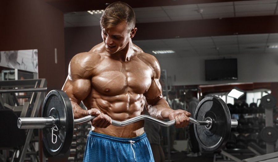 Proteínas: Essenciais para a Reparação e Crescimento Muscular - inspiração 1