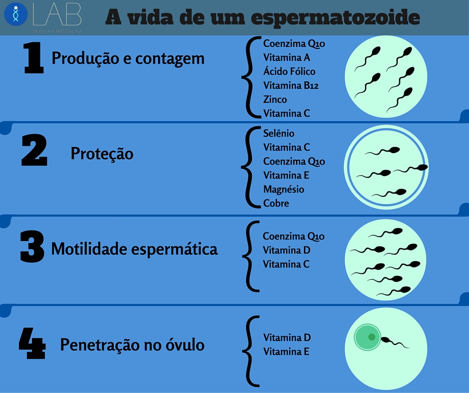 Sono reparador: A base para um corpo fértil - inspiração 1