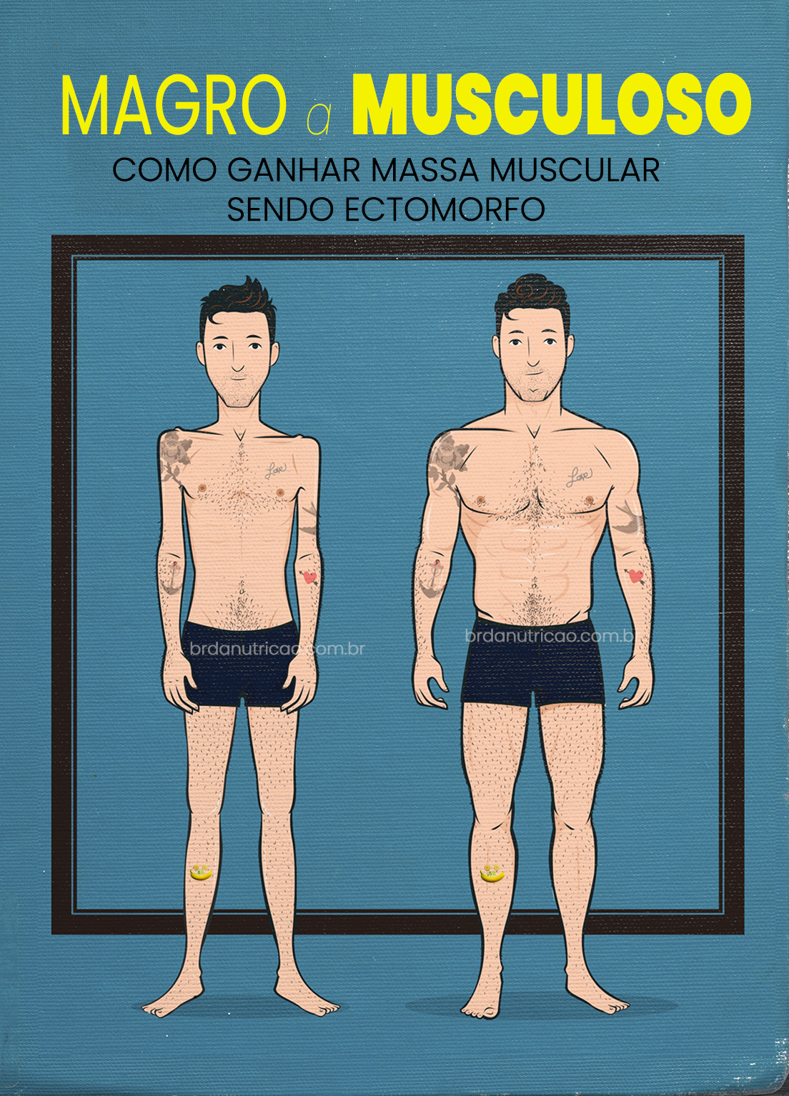 Entenda seu Metabolismo Ectomorfo: A Base para o Sucesso - inspiração 2