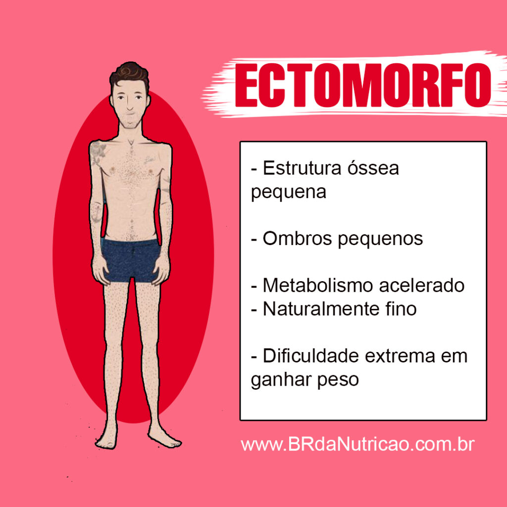 Proteínas Vegetais Essenciais: Fontes Poderosas para Reparo e Construção - inspiração 1