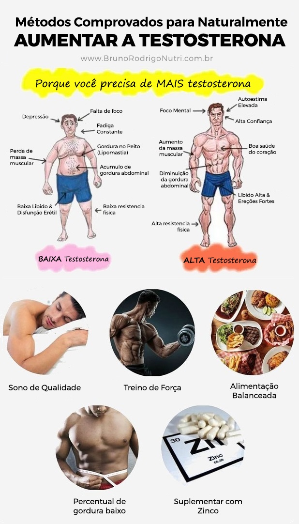 Treinamento de Força: O Pilar do Crescimento Muscular - inspiração 1