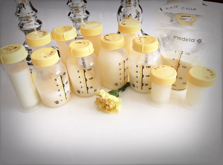 Técnicas de Extração: Quando o Leite Precisa de uma Forcinha - inspiração 1