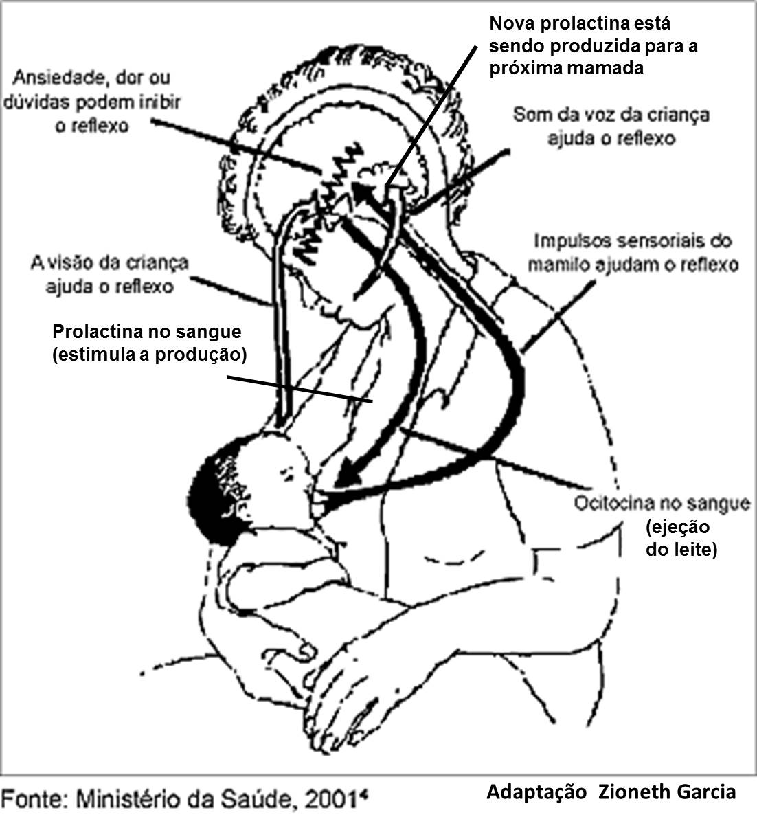 O Poder do Contato Pele a Pele: Conexão que Transborda Leite - inspiração 2