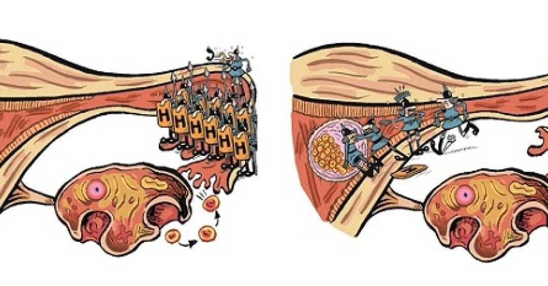 Consultando o Ginecologista: A Melhor Aliada Para Suas Dúvidas - inspiração 2