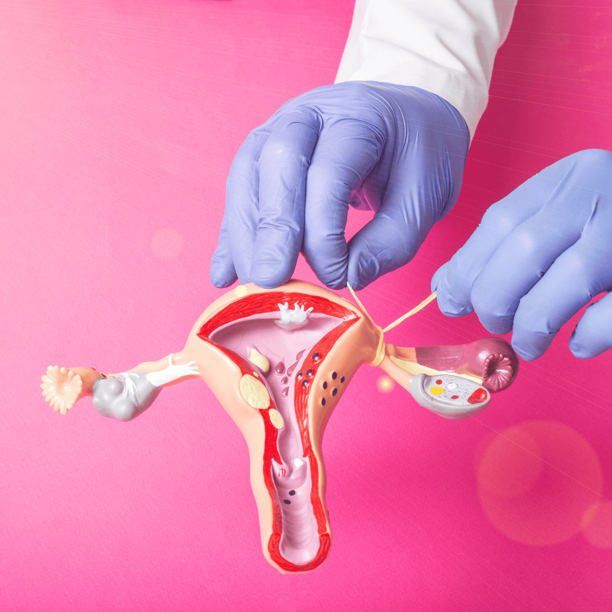 Primeiros passos: Teste de gravidez e consulta médica - inspiração 1