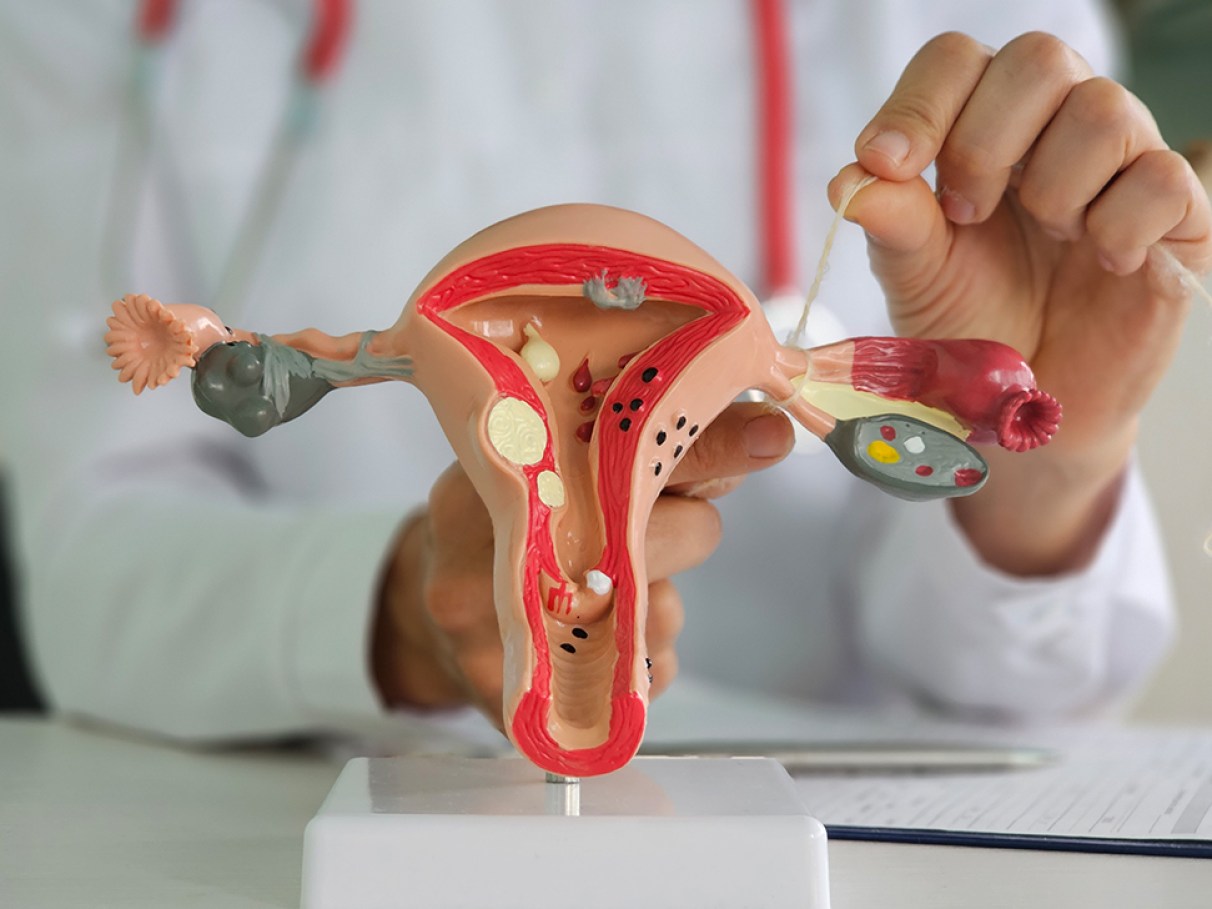 Aconselhamento genético e planejamento familiar futuro - inspiração 2