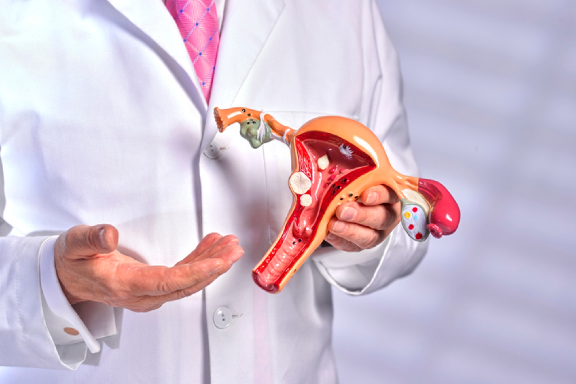 Comunicação Aberta: O Pilar Para um Relacionamento Seguro e Consciente - inspiração 1