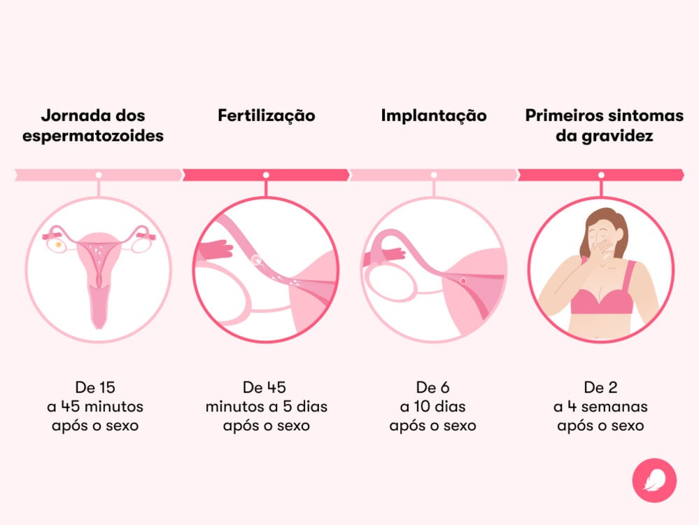 O momento certo para tomar a pílula: timing é tudo! - inspiração 1