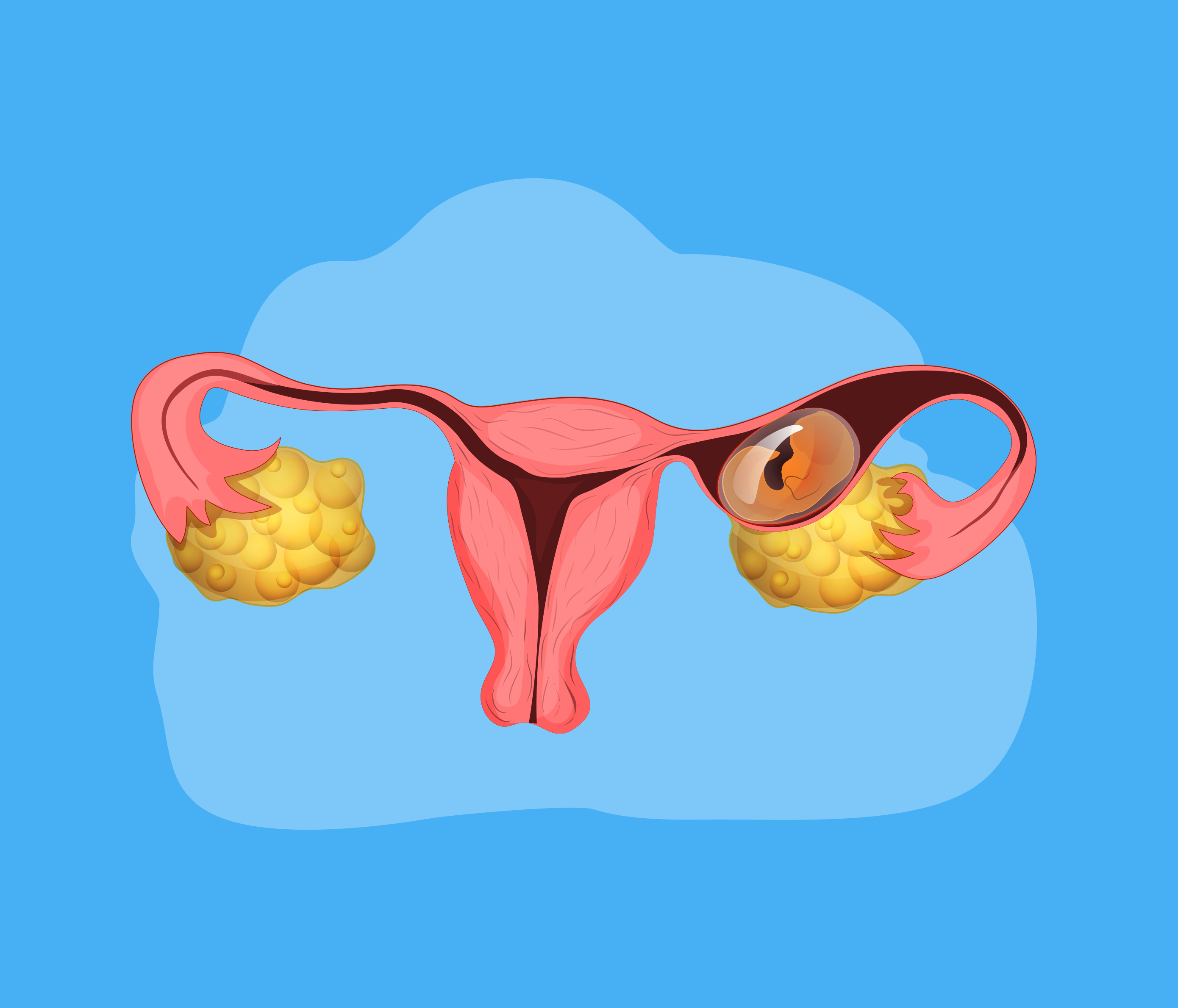 Conheça Seu Ciclo Menstrual: Entender Seu Corpo é Fundamental - inspiração 2