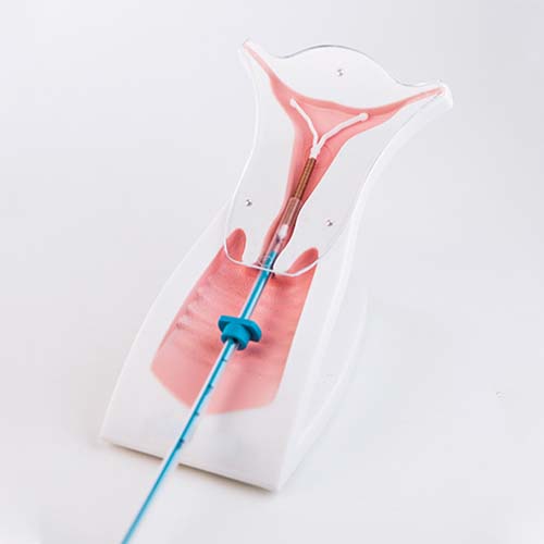 Mitos e Verdades Sobre o Uso Combinado - inspiração 1