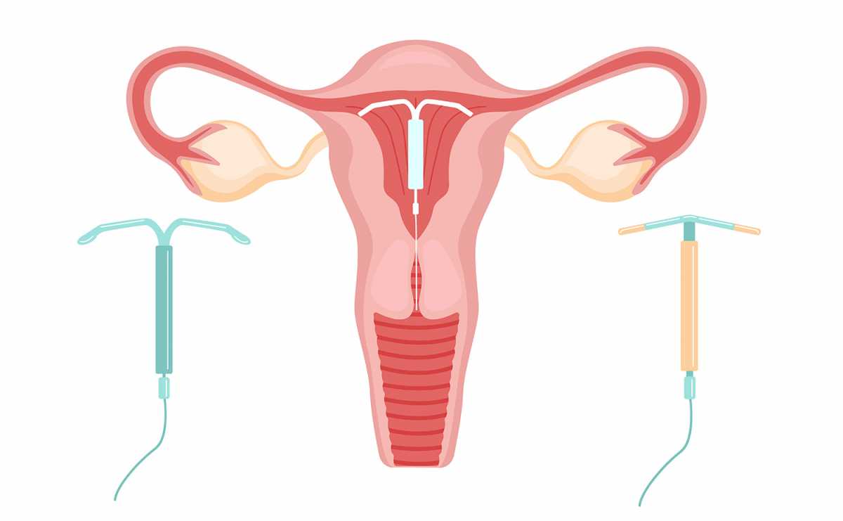 Eficácia Comprovada: As Taxas de Proteção - inspiração 2
