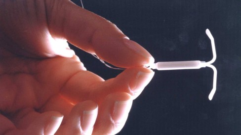 O Processo de Inserção: O Que Esperar? - inspiração 1