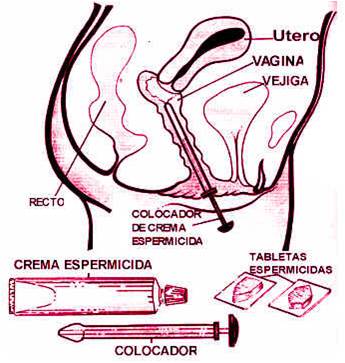 Quando aplicar o espermicida? O timing é tudo! - inspiração 2