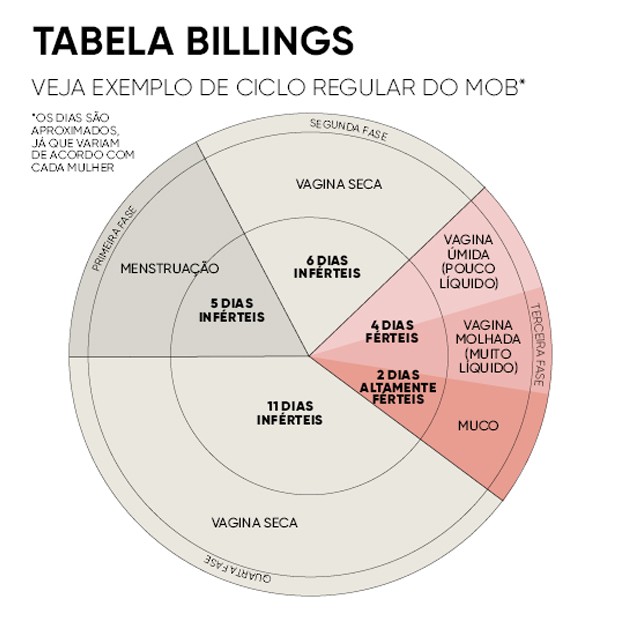 Acompanhamento Diário: Anotando os Sinais do Seu Corpo - inspiração 1