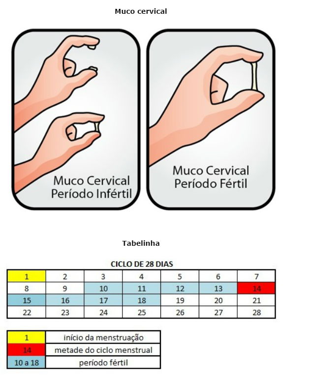 Métodos de Longa Duração (Implantes, DIUs): Opções para quem busca praticidade - inspiração 2