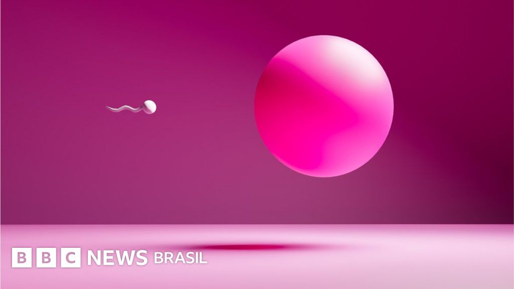 Vantagens Únicas: Por Que Considerar o Adesivo ou Anel? - inspiração 2