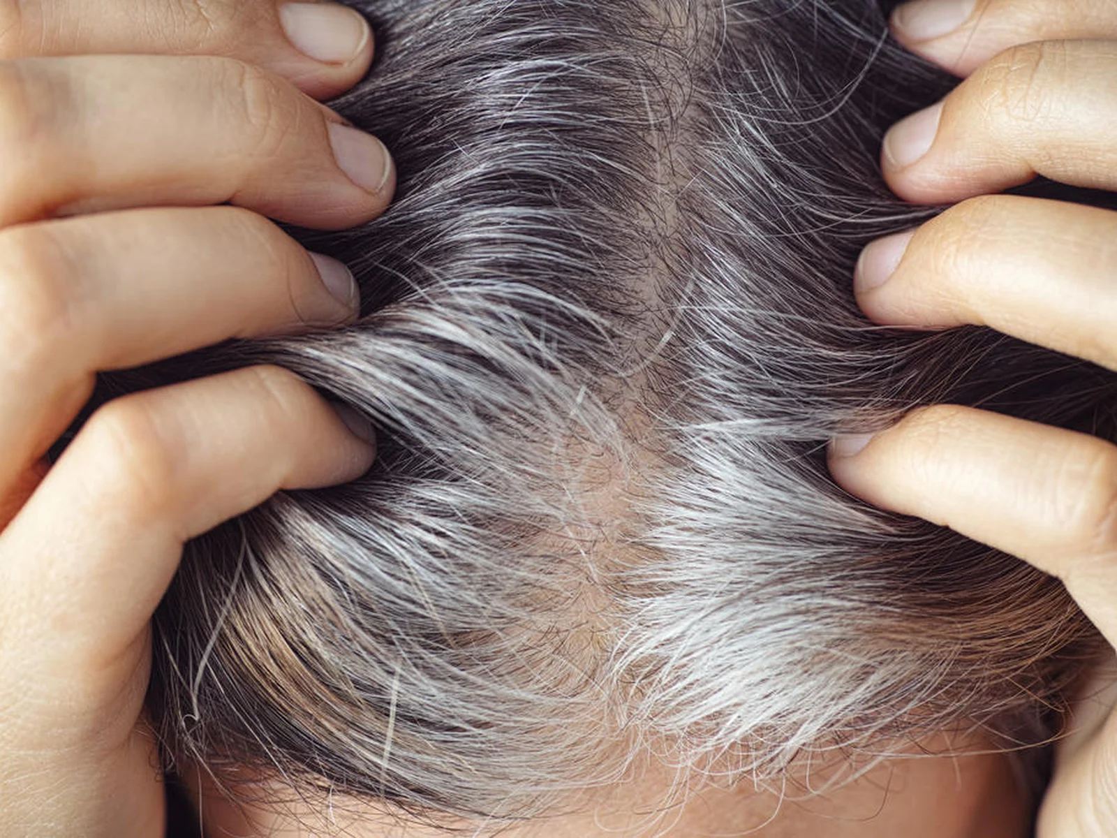 O Poder dos Suplementos: Quando e Como Usar - inspiração 1