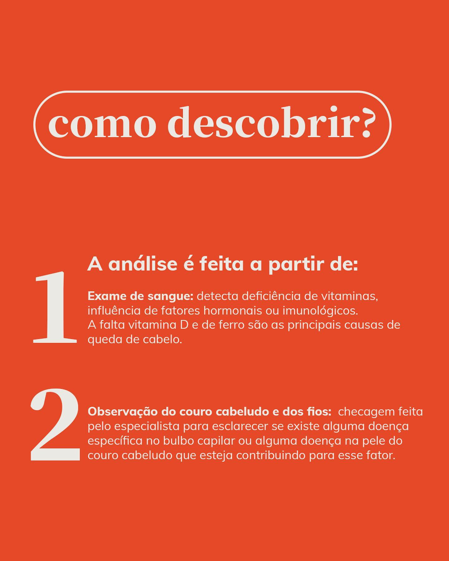 Nutrição Estratégica: O Combustível que seus Cabelos Precisam - inspiração 1