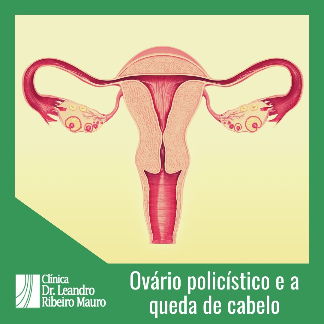 A Importância do Cuidado Gentil com Seu Cabelo no Dia a Dia - inspiração 2