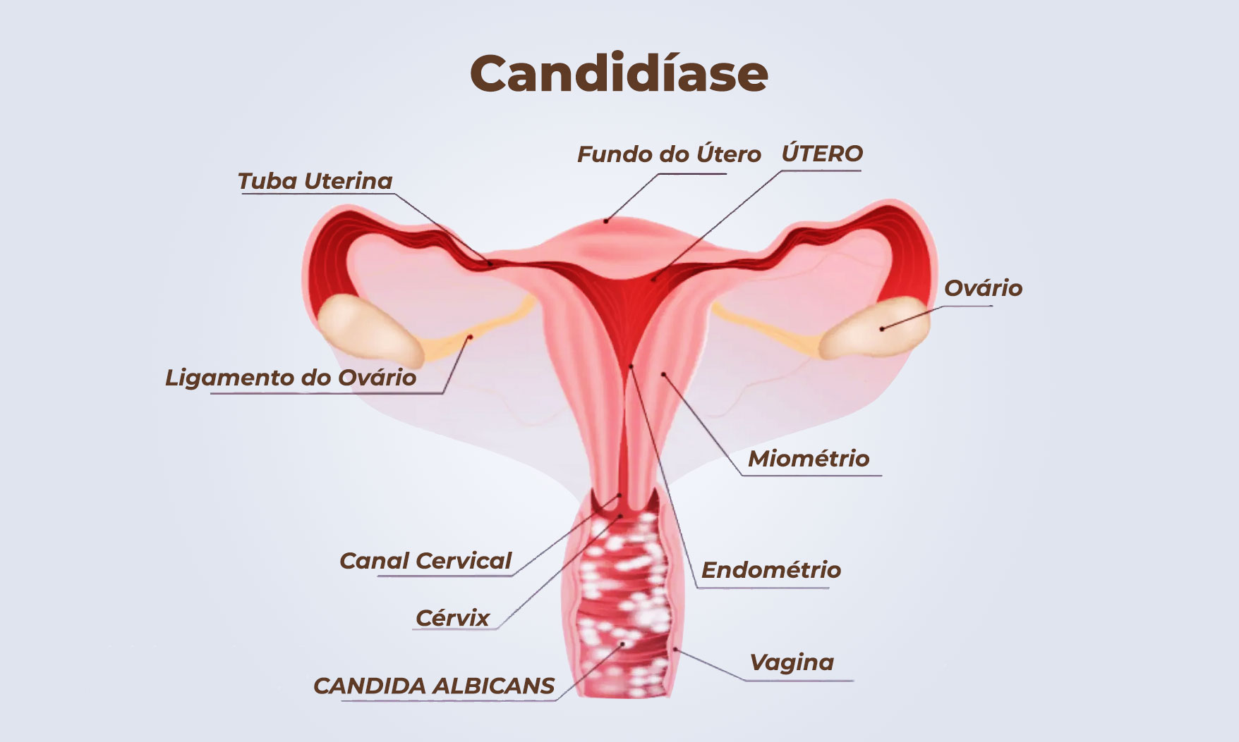 Consultas Médicas Regulares: Sua Melhor Garantia - inspiração 1
