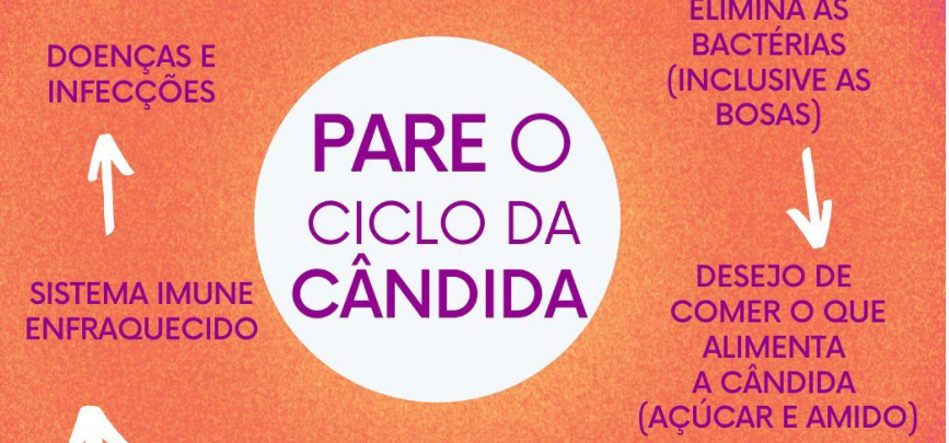 Consultas Médicas Regulares: Sua Melhor Garantia - inspiração 2
