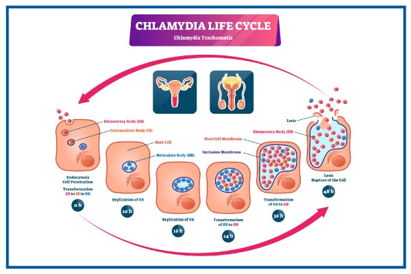 Testagem é Fundamental: Não Pule Essa Etapa! - inspiração 1