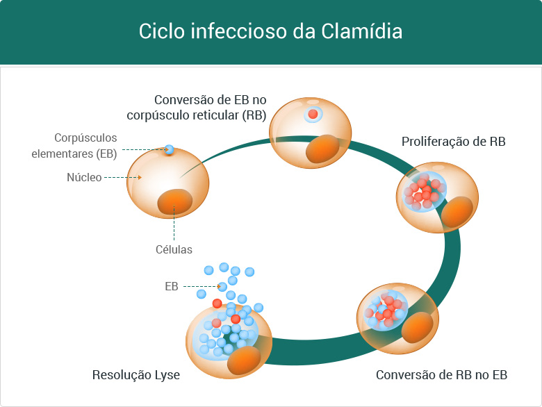 Reduzindo o Risco em Novos Relacionamentos: Seja Prudente - inspiração 1
