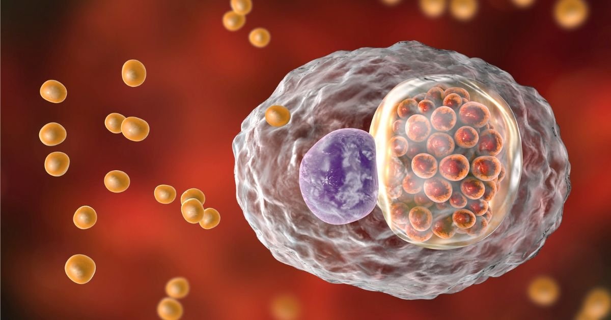 Cuidados Pós-Exposição: O Que Fazer se Houver Dúvida - inspiração 1