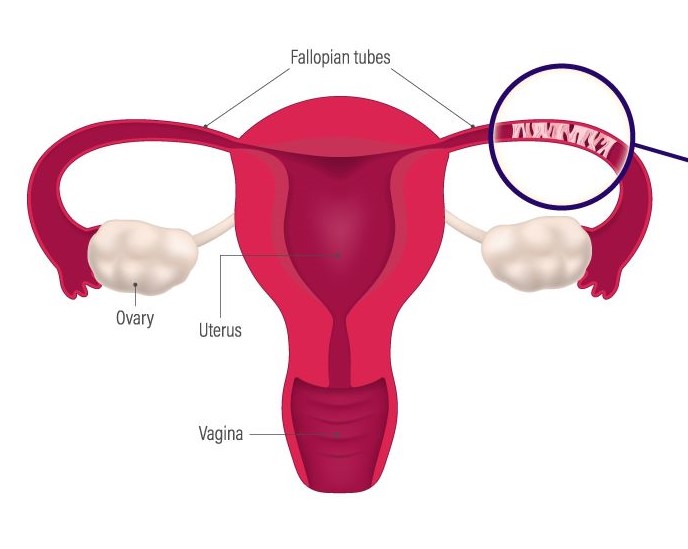 Prevenção em Grupo: Informando e Protegendo Suas Amigas - inspiração 1