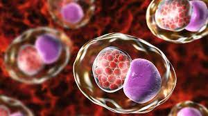 Prevenção em Grupo: Informando e Protegendo Suas Amigas - inspiração 2