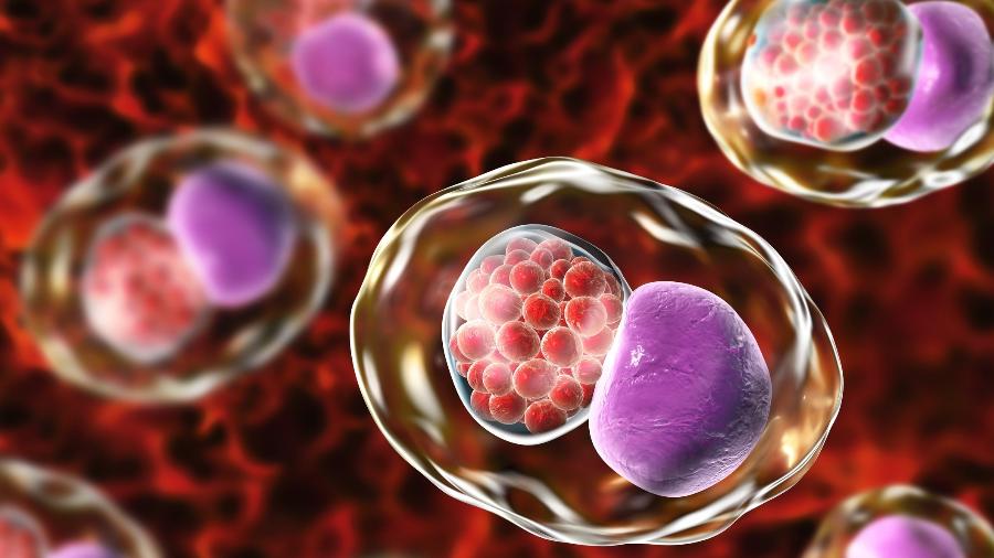 Recursos e Apoio Disponíveis para Gestantes - inspiração 2