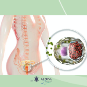 Mitos e Verdades sobre a Transmissão Vertical - inspiração 1