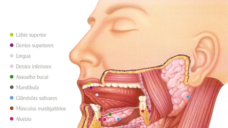 Evitando o Contato com Feridas ou Lesões - inspiração 2
